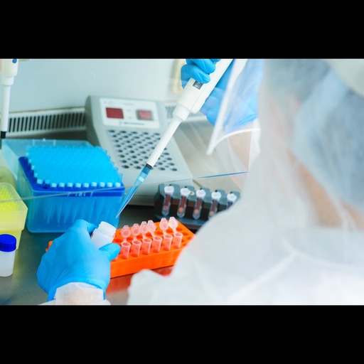 [0597-Oneq-V143-100D] Babesia equi One Step PCR   100 Reactions